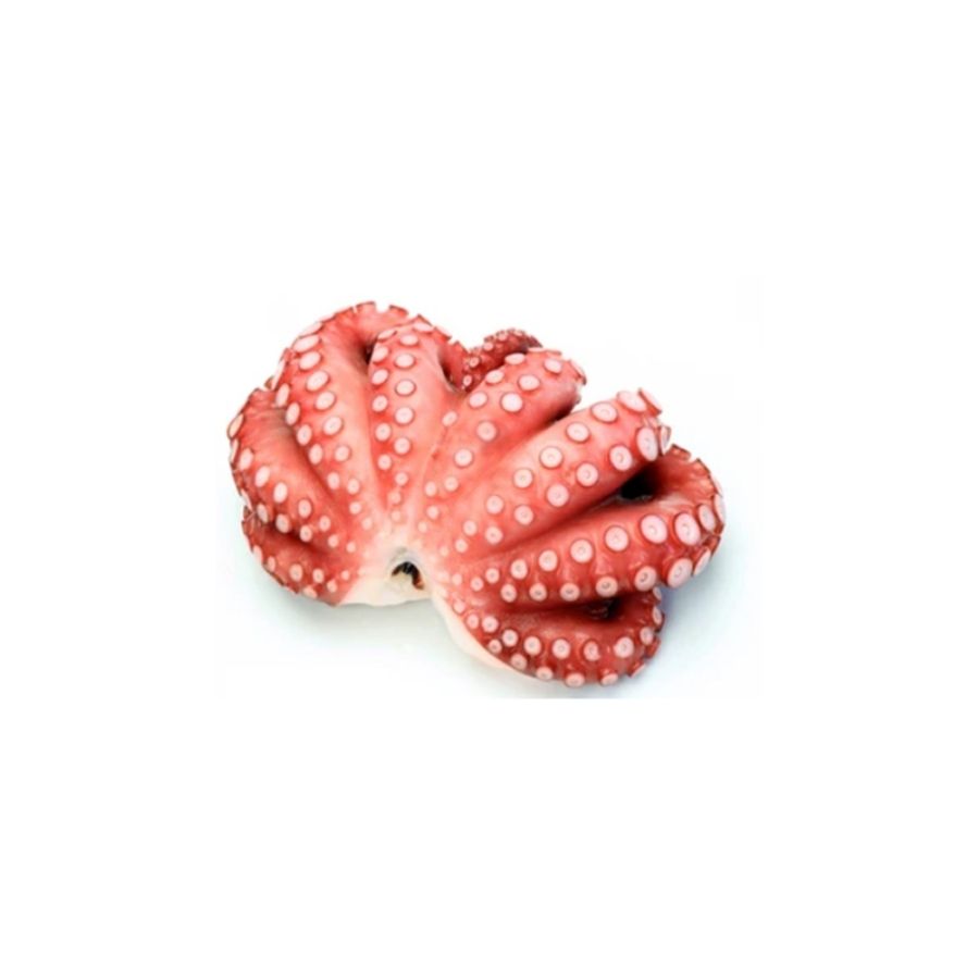 TAKO (Boiled Octopus)