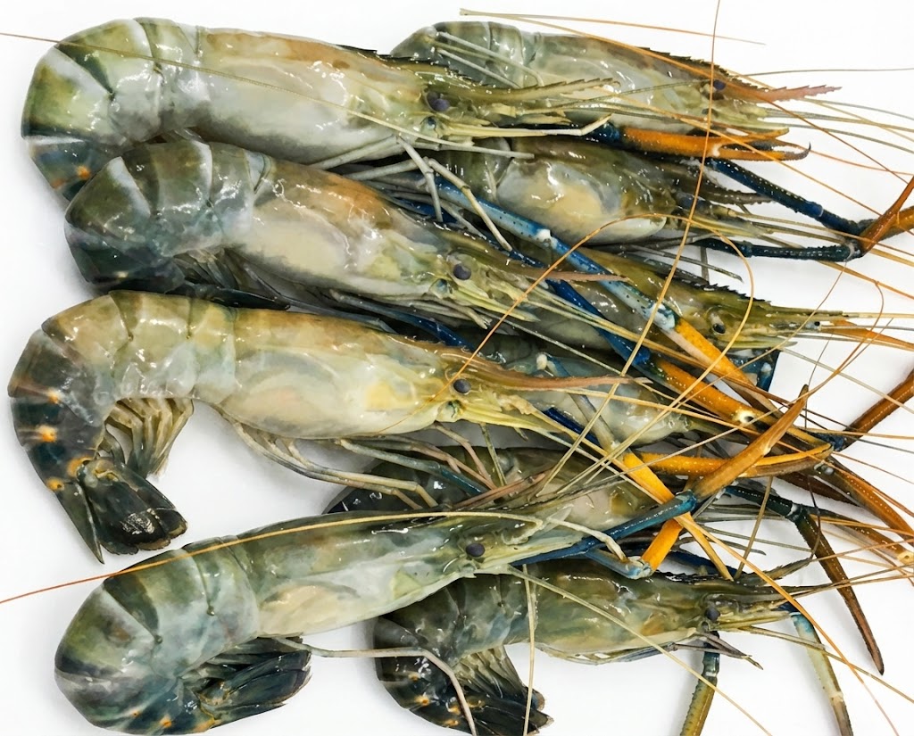 Tiger Prawns, with shell